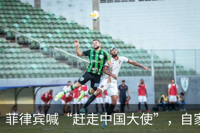 菲律宾喊“赶走中国大使”，自家人先拍桌子：等于把全国推下悬崖